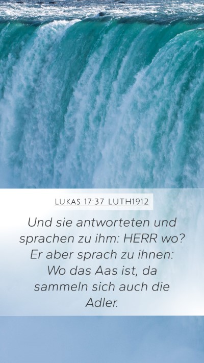 Lukas 17:37 LUTH1912 Bible Verse Image