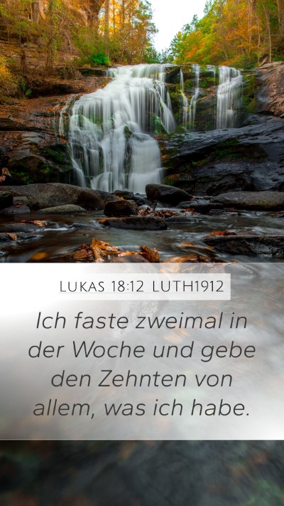 Lukas 18:12 LUTH1912 Bible Verse Image