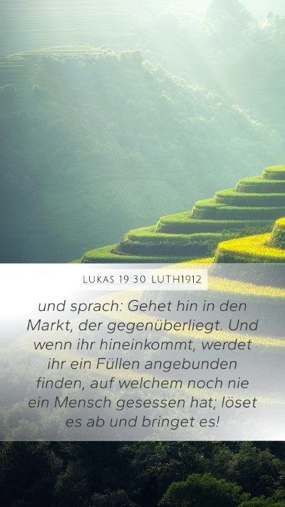 Lukas 19:30 LUTH1912 Bible Verse Image