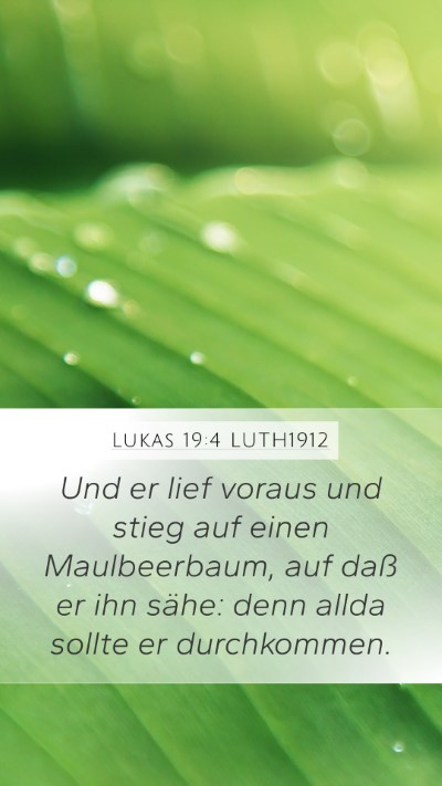 Lukas 19:4 LUTH1912 Bible Verse Image