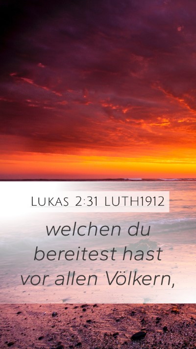Lukas 2:31 LUTH1912 Mobile Phone Wallpaper - welchen du bereitest hast vor allen - Mobile Bible Verse Wallpaper