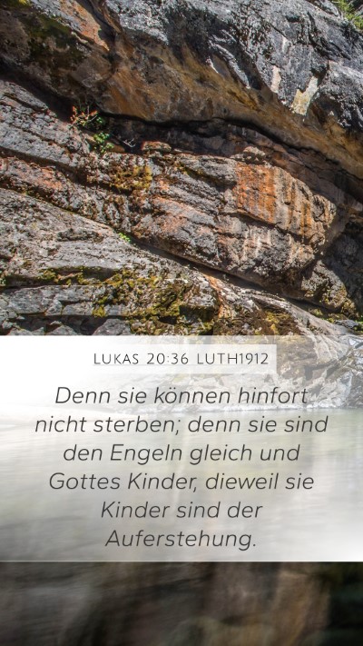 Lukas 20:36 LUTH1912 Mobile Phone Wallpaper - Denn sie können hinfort nicht sterben; denn sie - Mobile Bible Verse Wallpaper