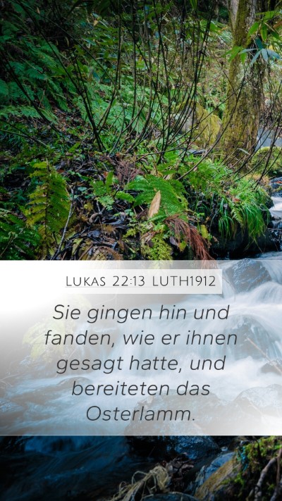 Lukas 22:13 LUTH1912 Bible Verse Image