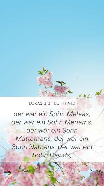 Lukas 3:31 LUTH1912 Bible Verse Image