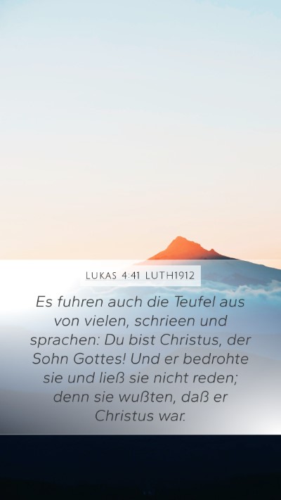 Lukas 4:41 LUTH1912 Bible Verse Image
