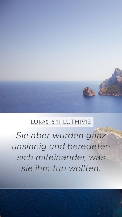 Lukas 6:11 LUTH1912 Bible Verse Image