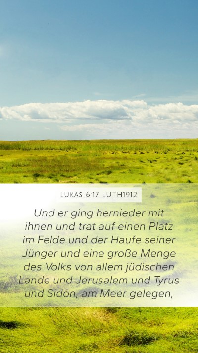 Lukas 6:17 LUTH1912 Bible Verse Image