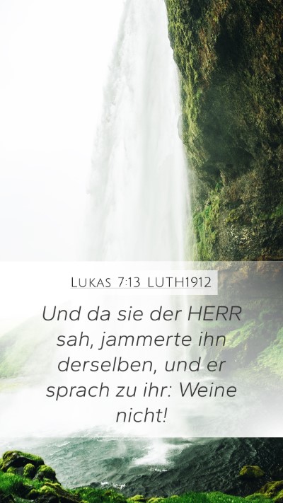 Lukas 7:13 LUTH1912 Bible Verse Image