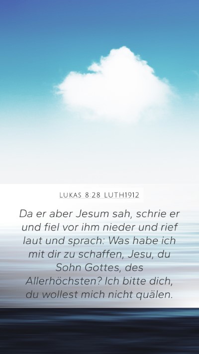 Lukas 8:28 LUTH1912 Bible Verse Image