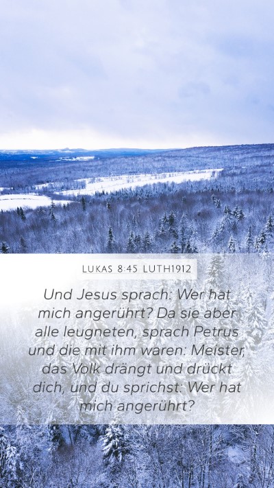 Lukas 8:45 LUTH1912 Bible Verse Image