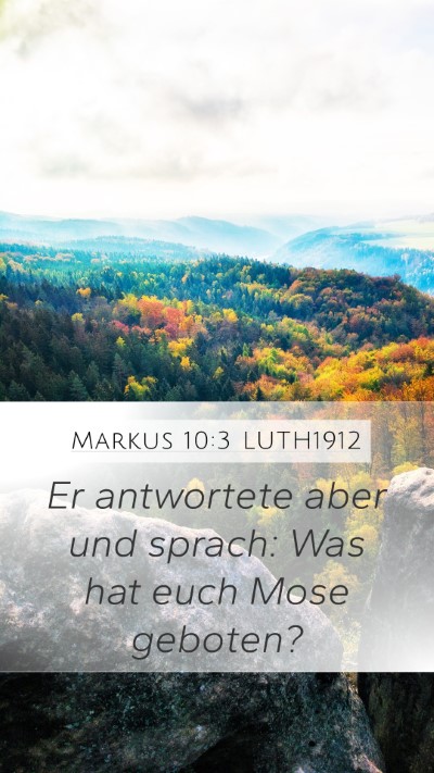 Markus 10:3 LUTH1912 Mobile Phone Wallpaper - Er antwortete aber und sprach: Was hat euch Mose - Mobile Bible Verse Wallpaper