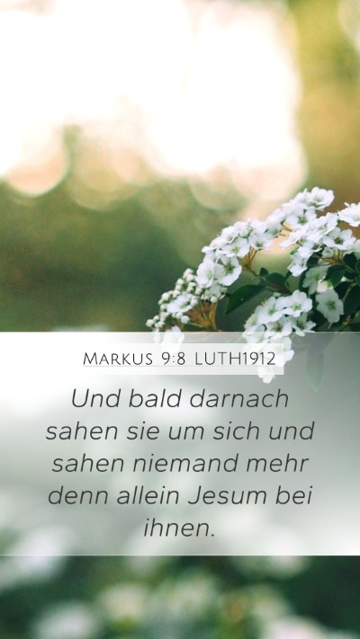 Markus 9:8 LUTH1912 Bible Verse Image