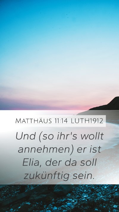 Matthäus 11:14 LUTH1912 Bible Verse Image
