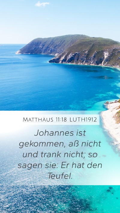 Matthäus 11:18 LUTH1912 Bible Verse Image