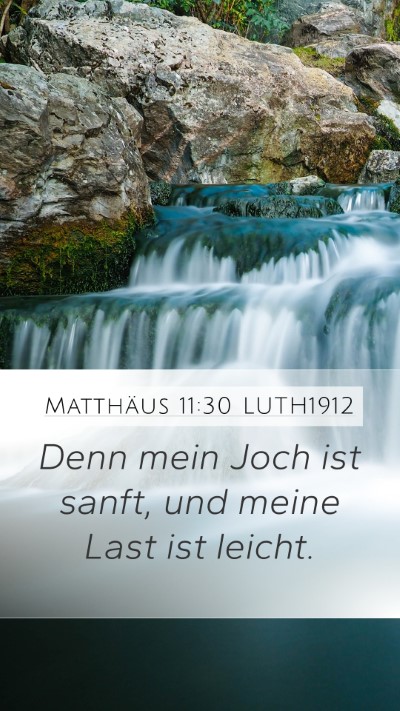 Matthäus 11:30 LUTH1912 Bible Verse Image