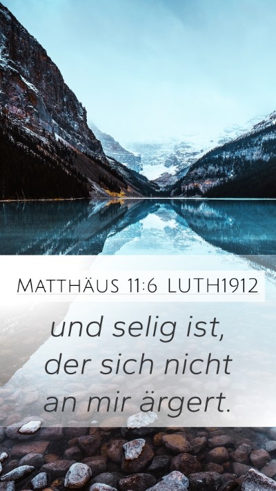 Matthäus 11:6 LUTH1912 Bible Verse Image