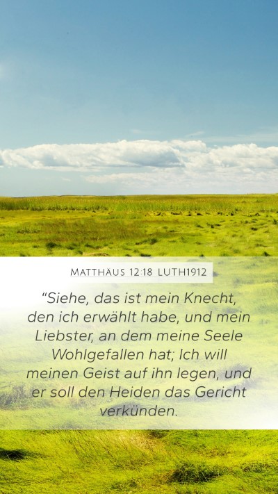 Matthäus 12:18 LUTH1912 Bible Verse Image