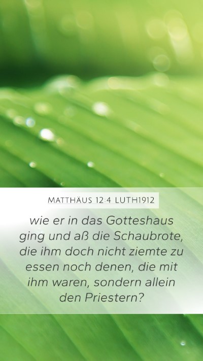 Matthäus 12:4 LUTH1912 Bible Verse Image