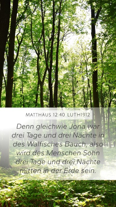 Matthäus 12:40 LUTH1912 Bible Verse Image