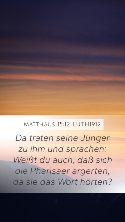 Matthäus 15:12 LUTH1912 Bible Verse Image