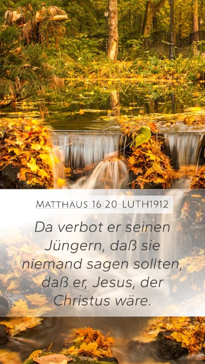 Matthäus 16:20 LUTH1912 Bible Verse Image