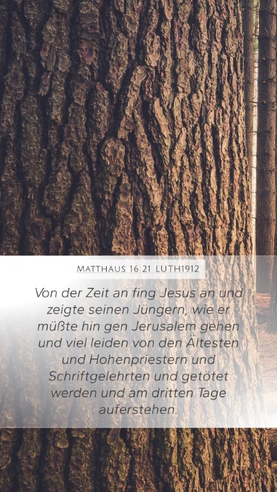Matthäus 16:21 LUTH1912 Bible Verse Image