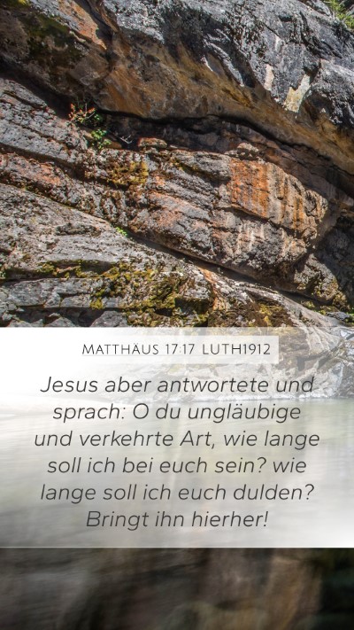 Matthäus 17:17 LUTH1912 Bible Verse Image