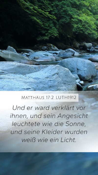 Matthäus 17:2 LUTH1912 Bible Verse Image