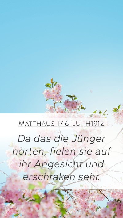 Matthäus 17:6 LUTH1912 Bible Verse Image