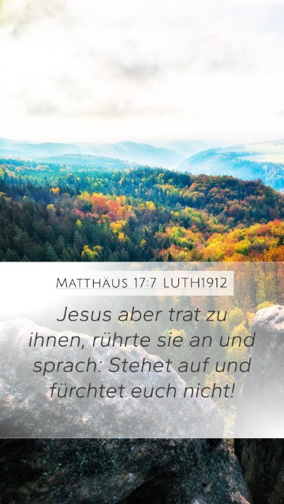 Matthäus 17:7 LUTH1912 Mobile Phone Wallpaper - Jesus aber trat zu ihnen, rührte sie an und - Mobile Bible Verse Wallpaper