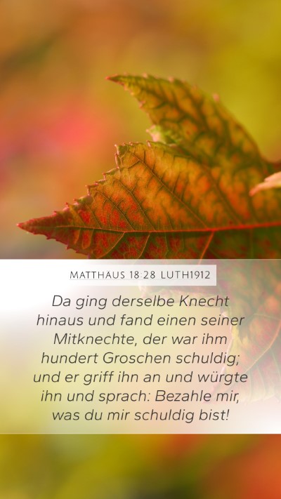 Matthäus 18:28 LUTH1912 Bible Verse Image