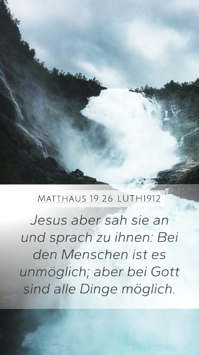 Matthäus 19:26 LUTH1912 Bible Verse Image