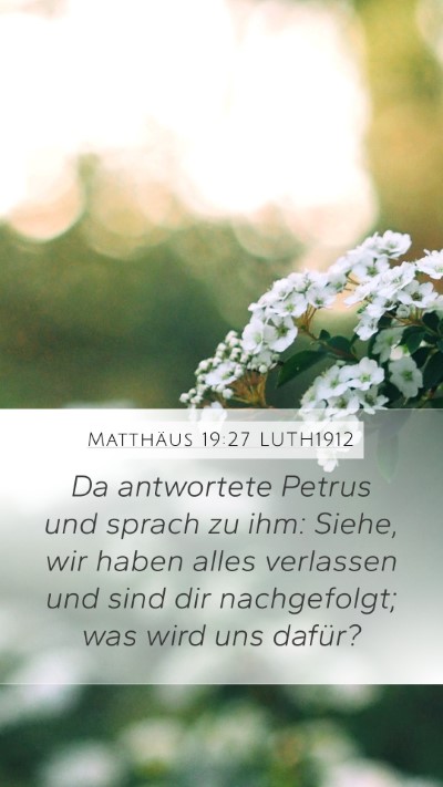 Matthäus 19:27 LUTH1912 Bible Verse Image