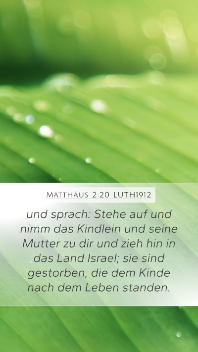 Matthäus 2:20 LUTH1912 Bible Verse Image