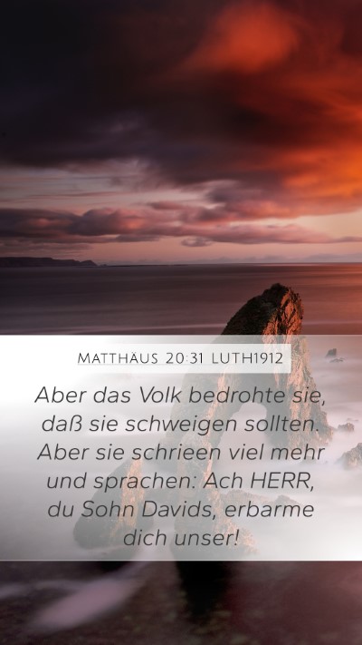 Matthäus 20:31 LUTH1912 Bible Verse Image