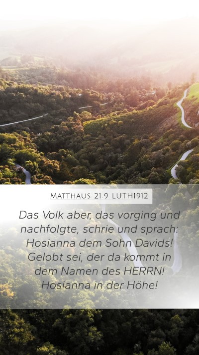 Matthäus 21:9 LUTH1912 Bible Verse Image