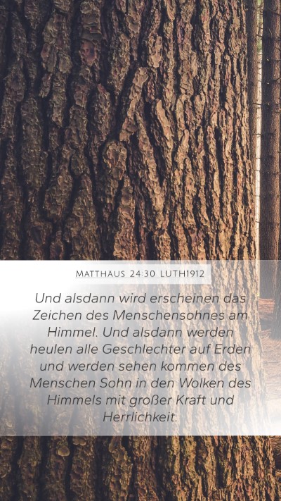 Matthäus 24:30 LUTH1912 Bible Verse Image