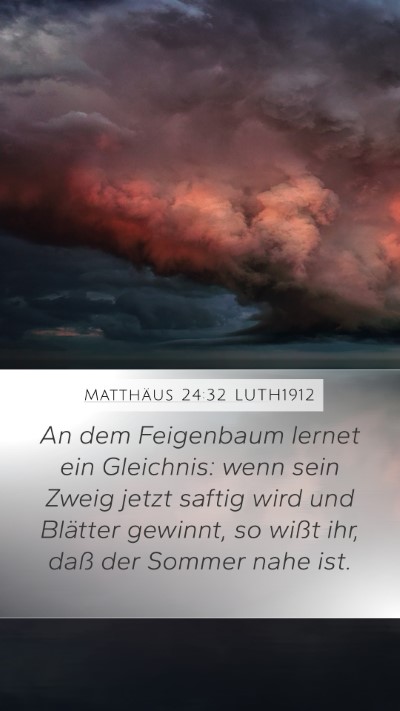 Matthäus 24:32 LUTH1912 Bible Verse Image