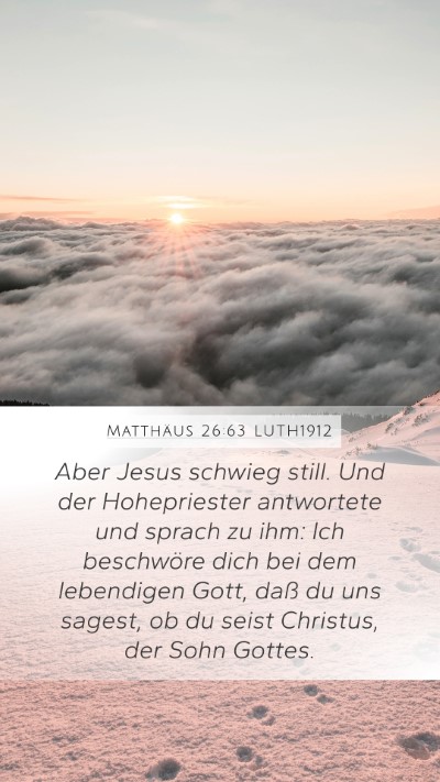 Matthäus 26:63 LUTH1912 Bible Verse Image