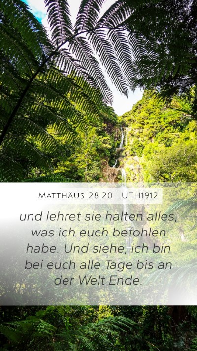 Matthäus 28:20 LUTH1912 Bible Verse Image