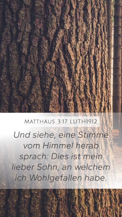 Matthäus 3:17 LUTH1912 Bible Verse Image