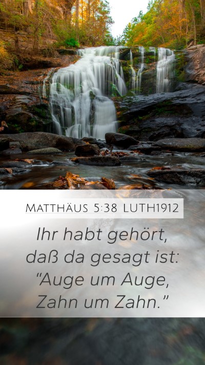 Matthäus 5:38 LUTH1912 Bible Verse Image