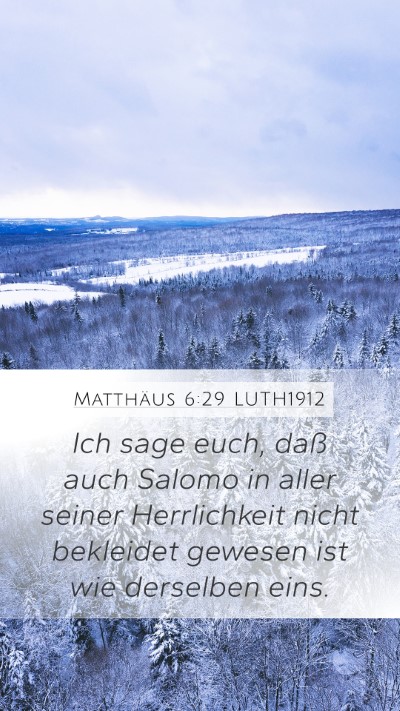 Matthäus 6:29 LUTH1912 Mobile Phone Wallpaper - Ich sage euch, daß auch Salomo in aller seiner - Mobile Bible Verse Wallpaper