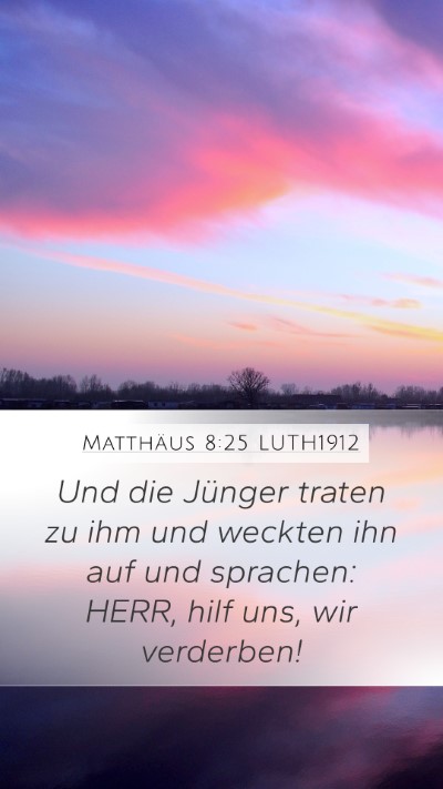Matthäus 8:25 LUTH1912 Bible Verse Image