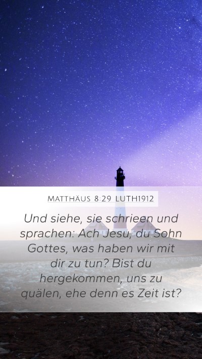Matthäus 8:29 LUTH1912 Bible Verse Image