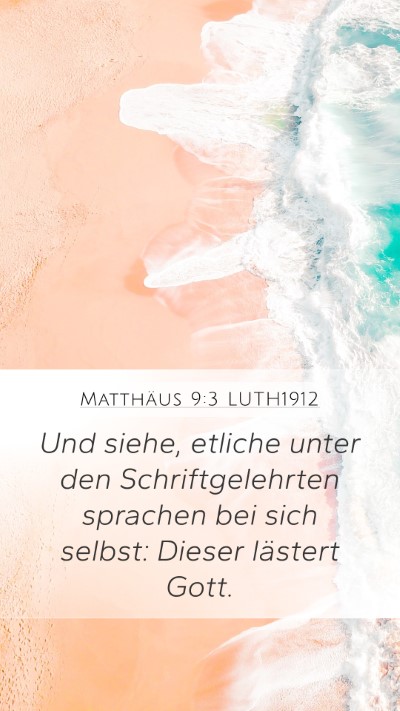 Matthäus 9:3 LUTH1912 Bible Verse Image
