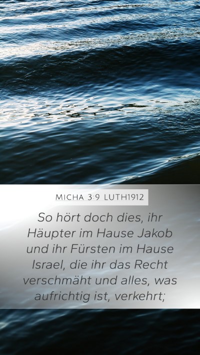 Micha 3:9 LUTH1912 Bible Verse Image