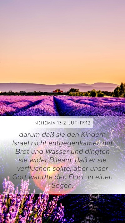 Nehemia 13:2 LUTH1912 Bible Verse Image
