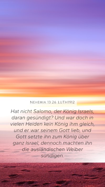 Nehemia 13:26 LUTH1912 Bible Verse Image