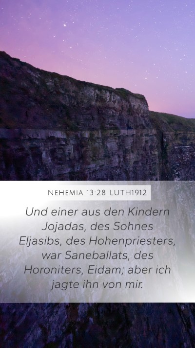Nehemia 13:28 LUTH1912 Bible Verse Image